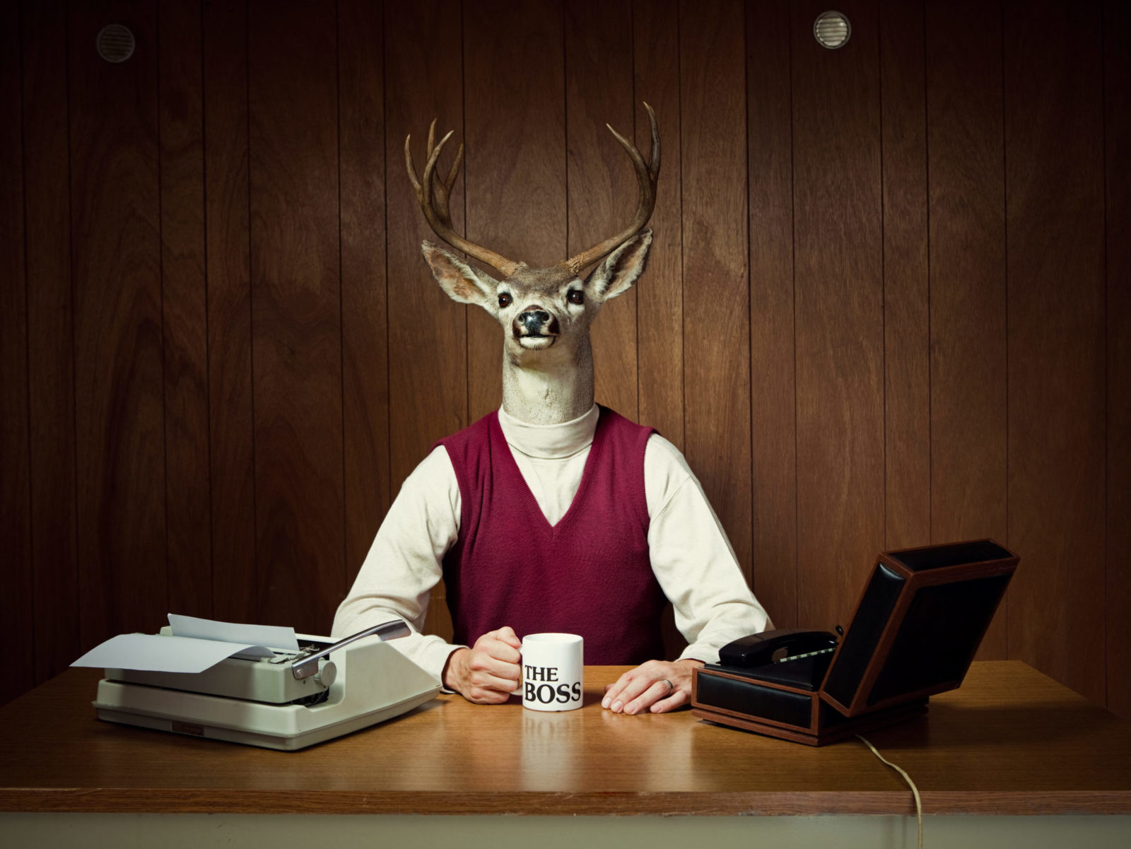 5 Reasons Why CEOs Make Bad Decisions and How to Avoid Them